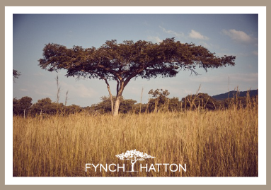 Der Baum als Logo bei FYNCH-HATTON