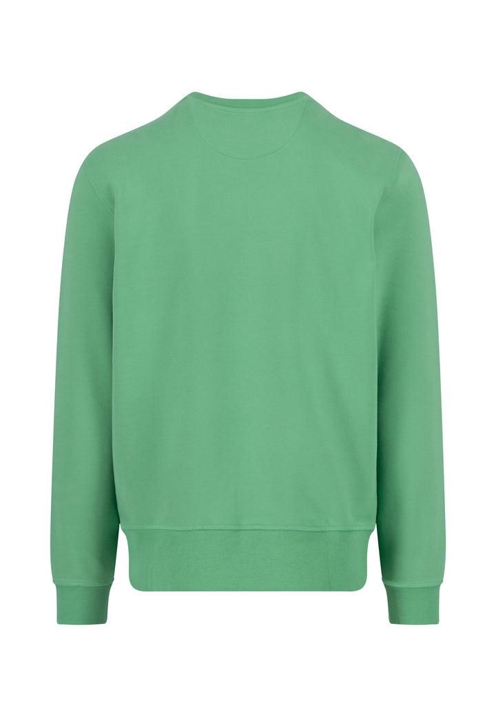 #farbe_turf-green