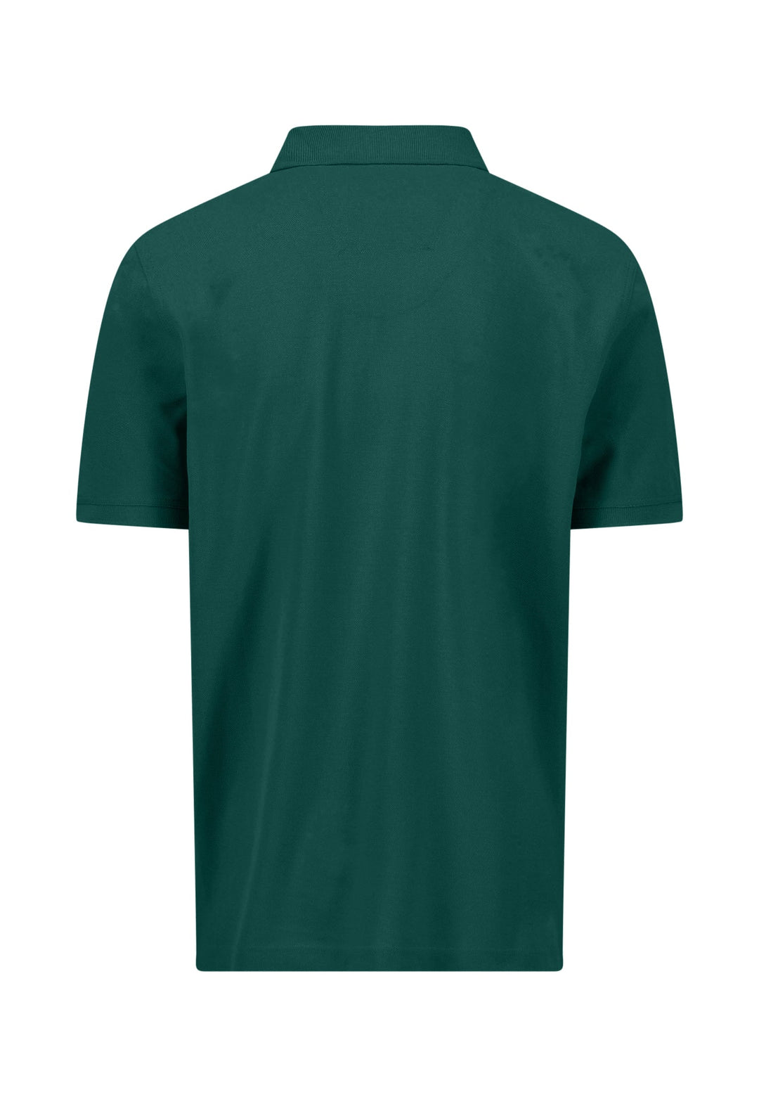 #farbe_pine-green