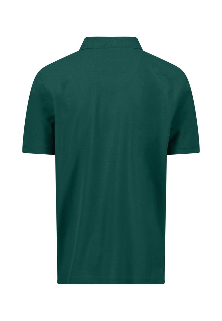 #farbe_pine-green