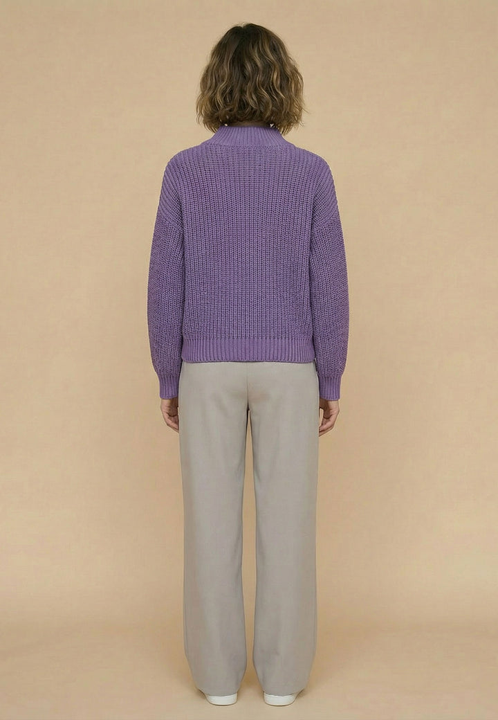 #color_wisteria-purple