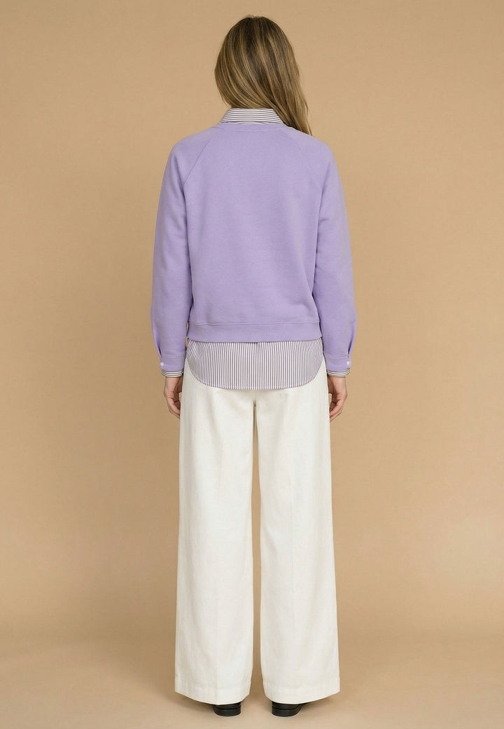 #farbe_wisteria-lilac