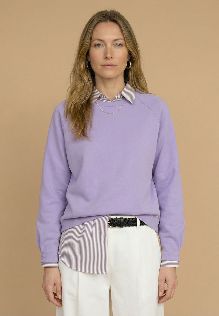 #farbe_wisteria-lilac