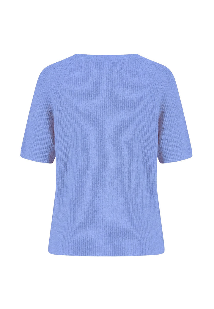 #farbe_cornflower-blue
